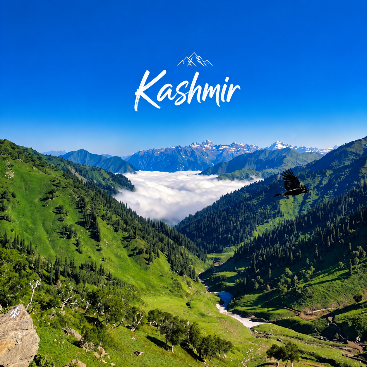 Kashmir