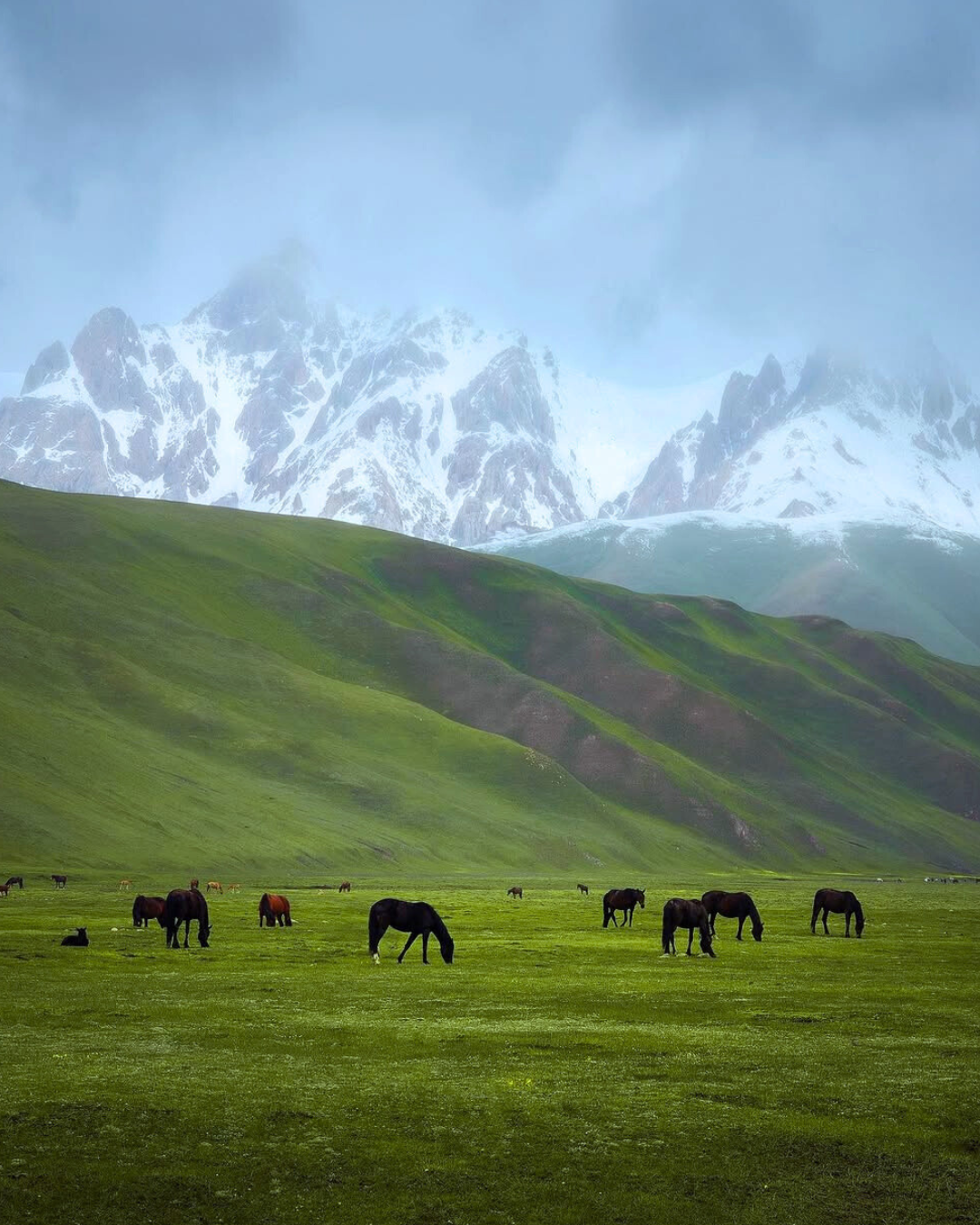 Heaven on Earth - Kashmir