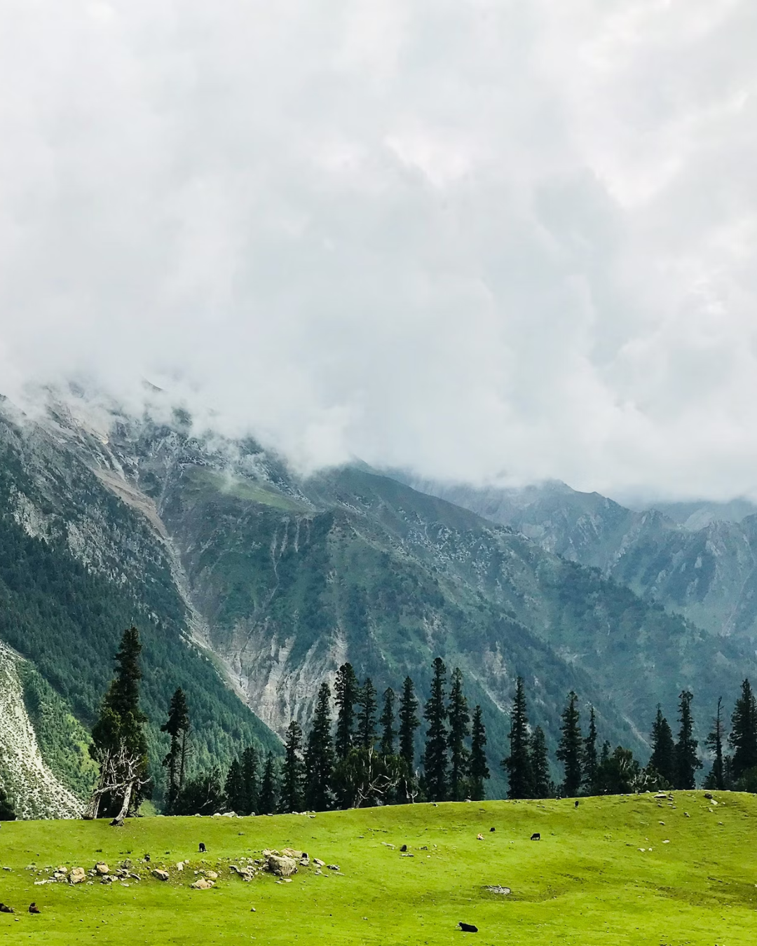 Heaven on Earth - Kashmir
