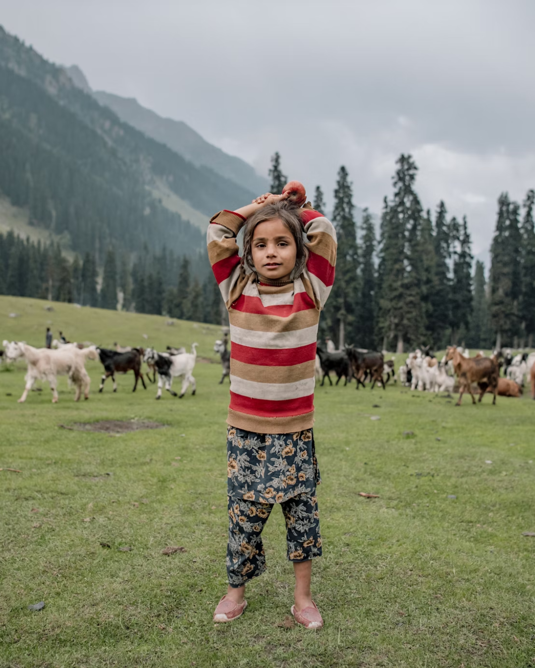 Heaven on Earth - Kashmir